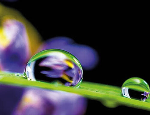 Groupe Horatec, spécialiste de projets complexes et polyvalents