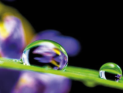 Steiger Galvanotechnique est spécialisée dans le dépôt galvanique et chimique sur métaux. Ici, le Vickersil, un revêtement de surface qui réduit l’abrasion et l’adhérence des polymères en fusion sur les outils. Source : Steiger Galvanotechnique